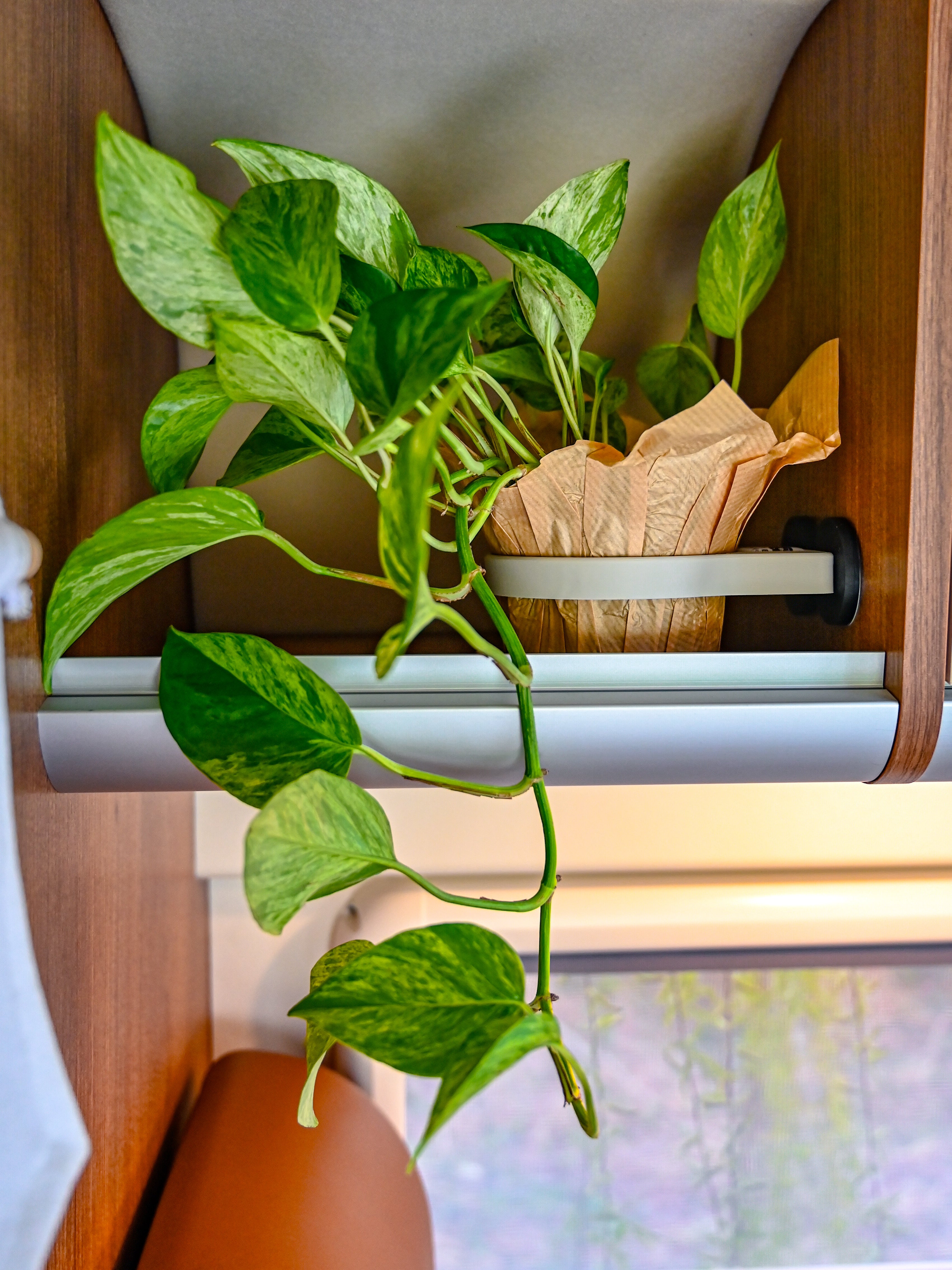 The Ring – Magnetic Plant Holder ø100mm – Offrotie 3D Printed – Portable for Vanlife