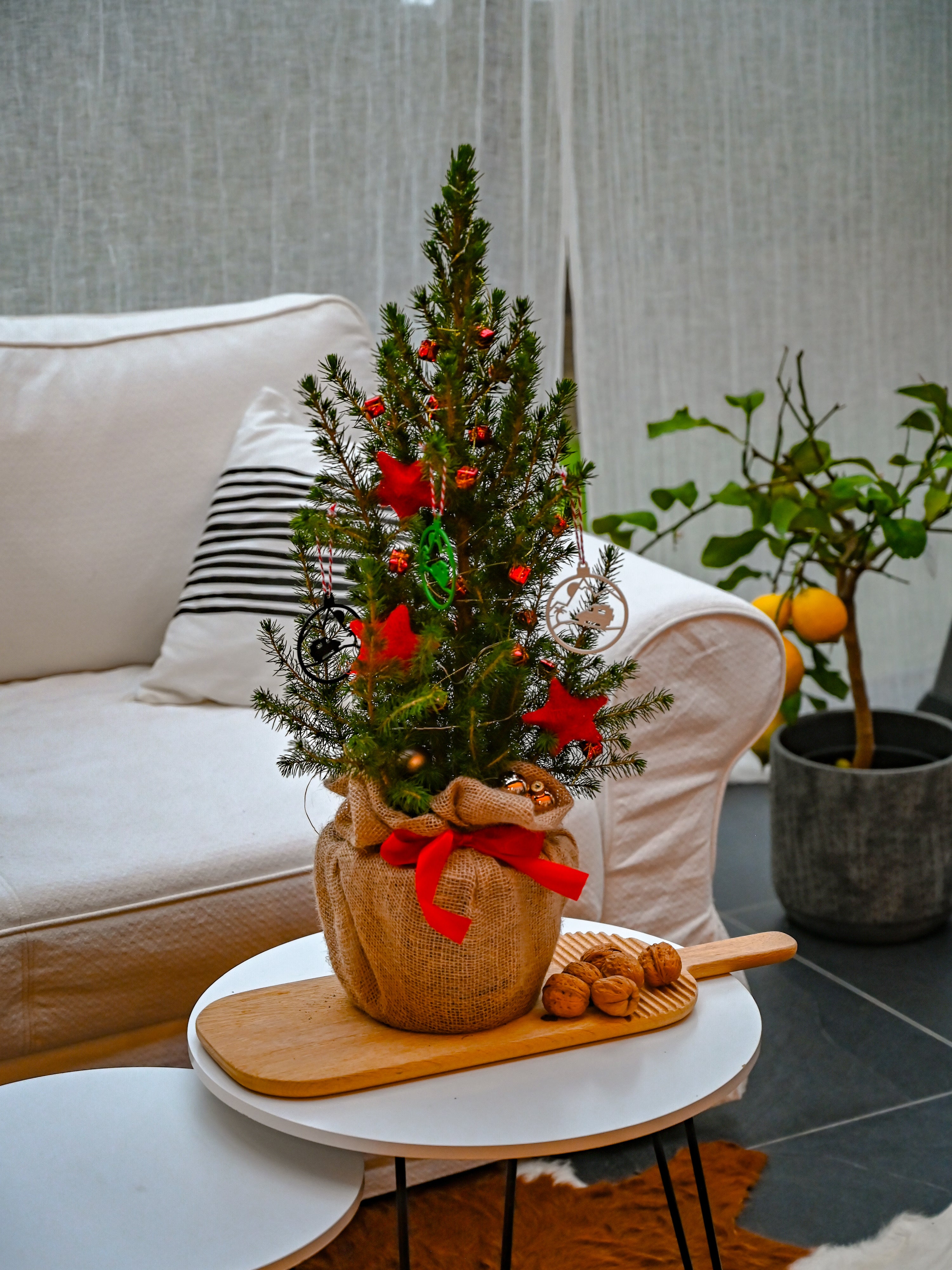 Der Weihnachtsbaum Camper Dekor - Offrotie 3D gedruckt - Vanlife Thema
