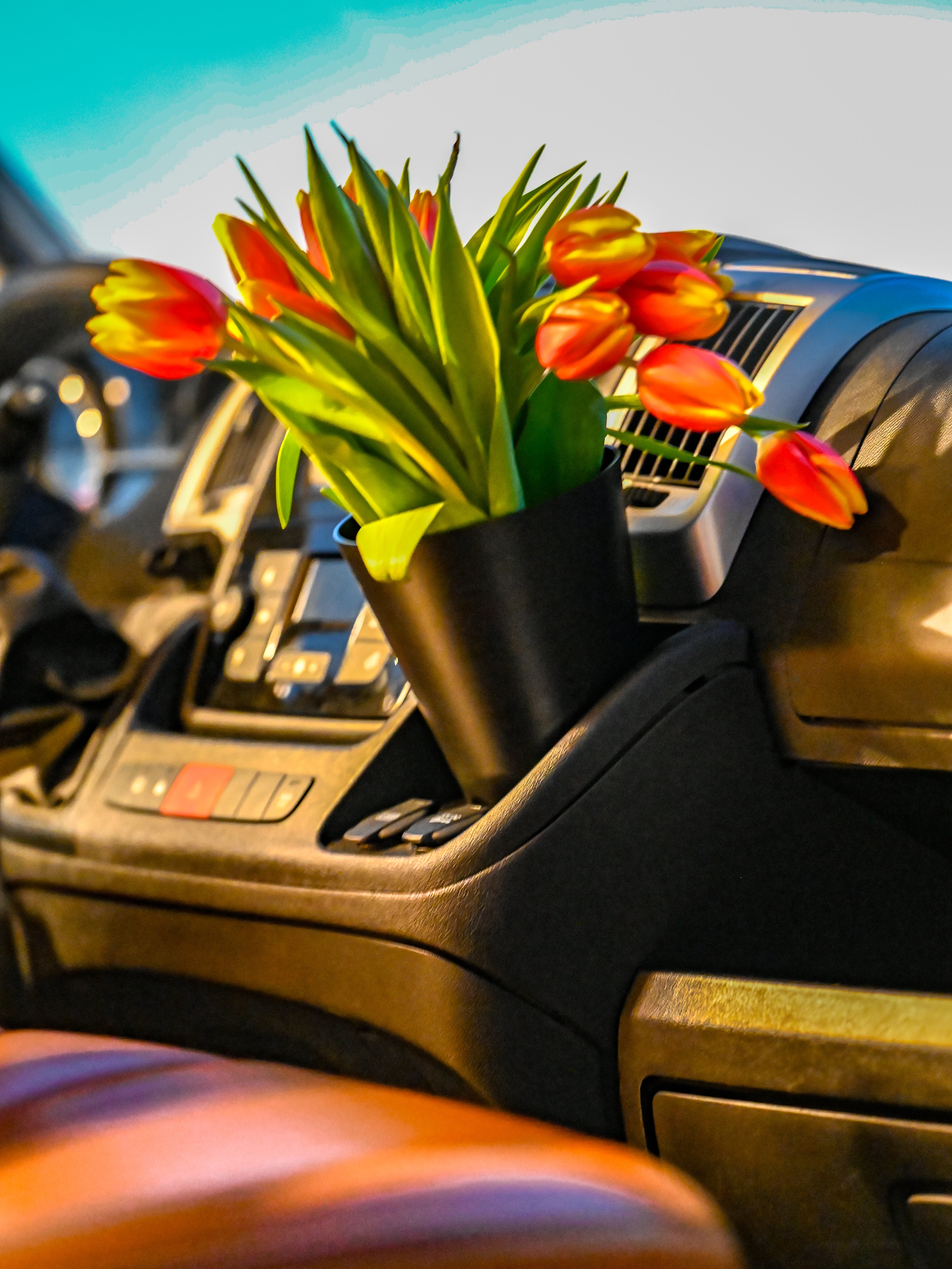 The Pot Holder and Flower Pot Kit Magnetic – Offrotie 3D Printed – Portable for Vanlife