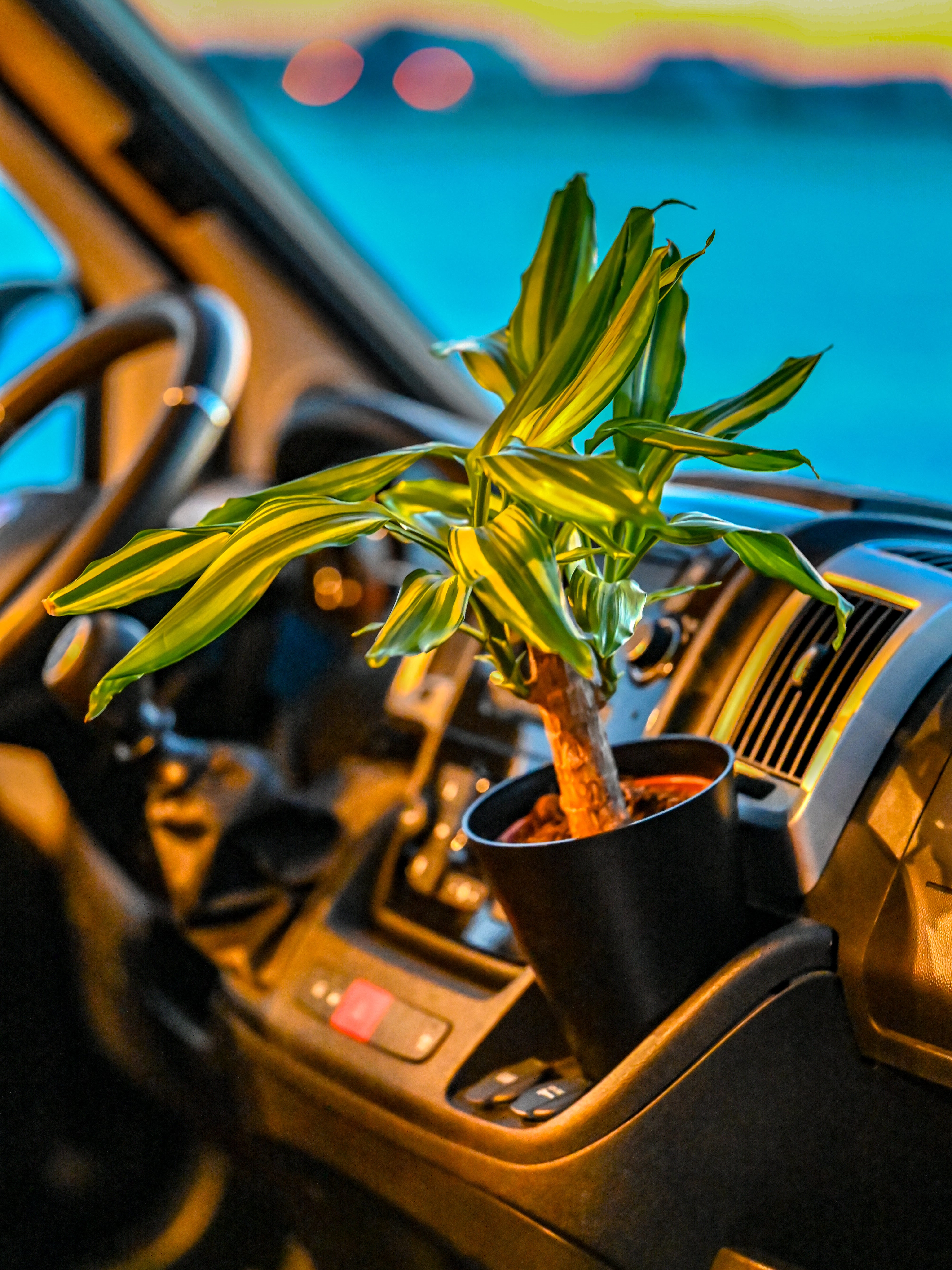 The Pot Holder and Flower Pot Kit Magnetic – Offrotie 3D Printed – Portable for Vanlife