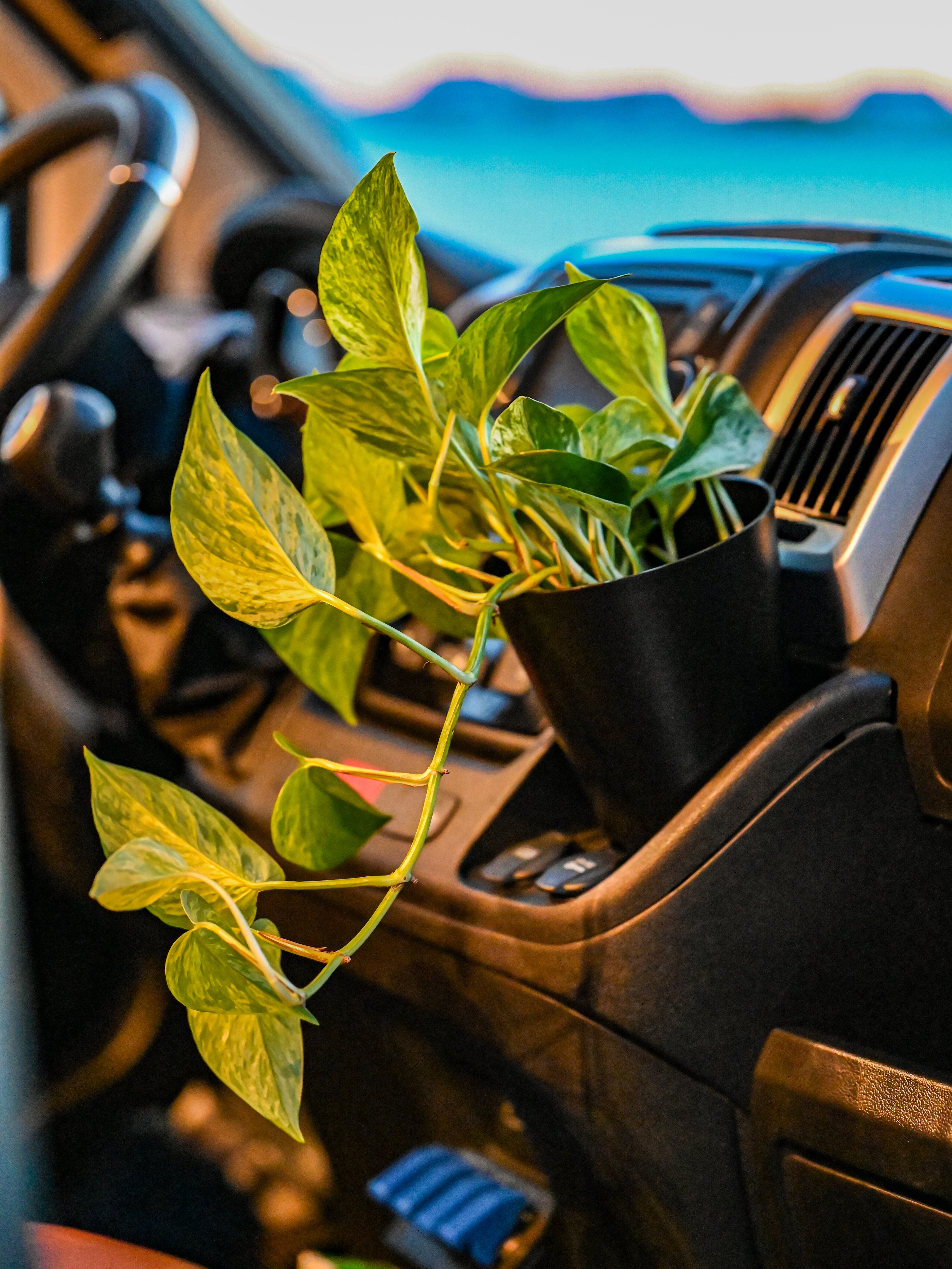 The Pot Holder and Flower Pot Kit Magnetic – Offrotie 3D Printed – Portable for Vanlife