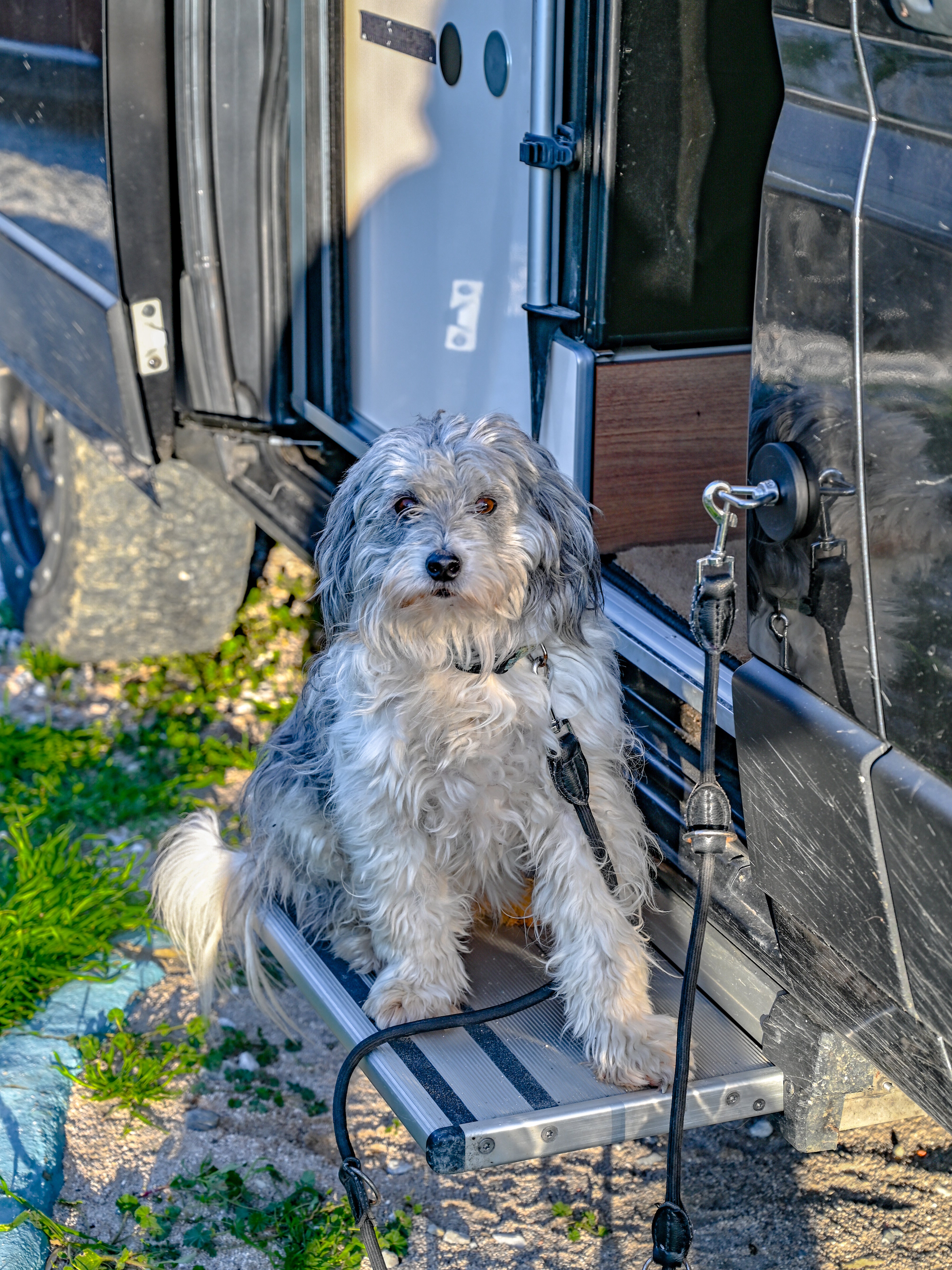 Der Stern | Ring | Dreiecksmuttern magnetisch – Offrotie Befestigungssystem – Vanlife und Overlander Organizer