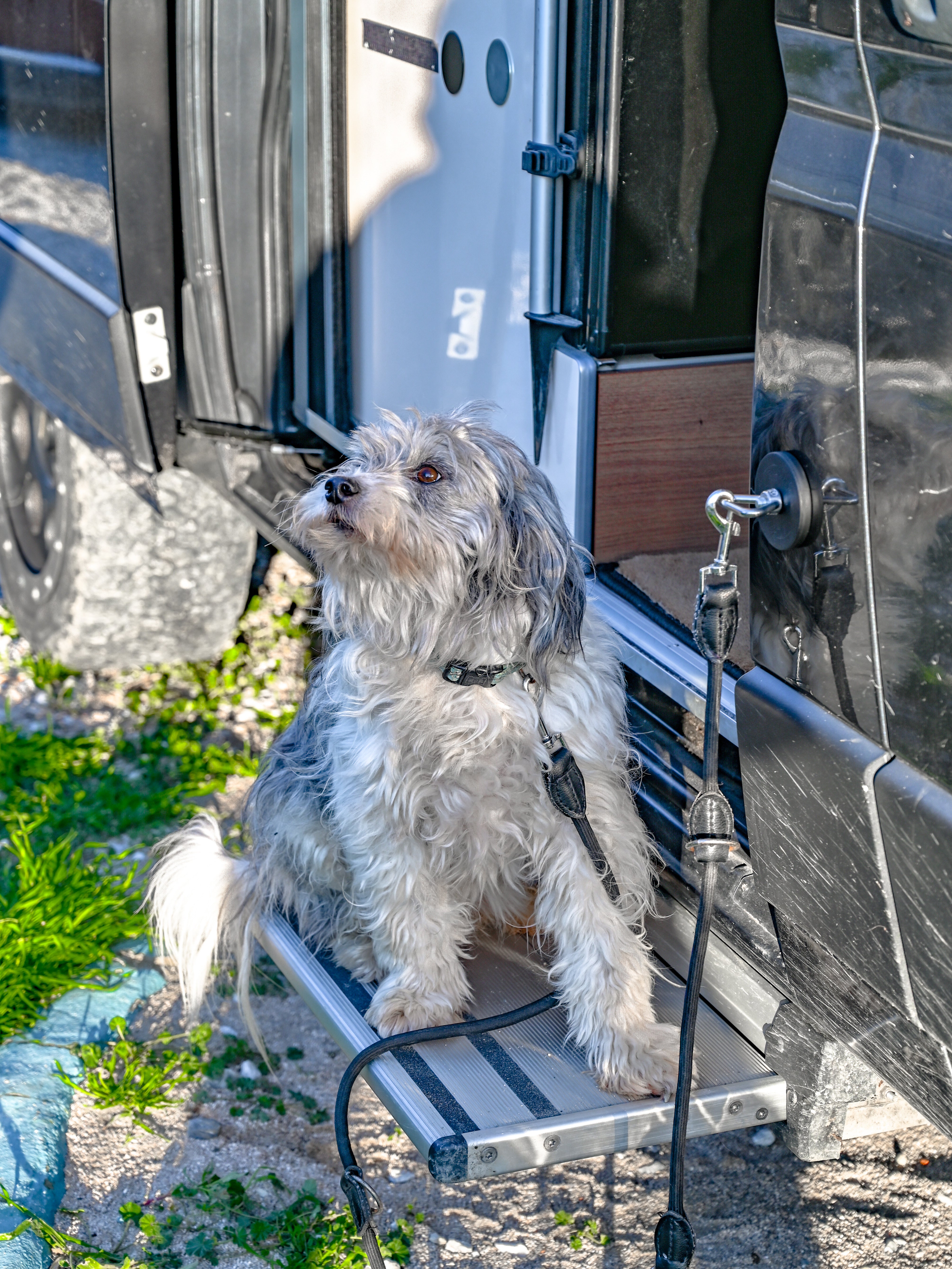 The Star | Ring | Triangle Nuts Magnetic – Offrotie Mounting System – Vanlife and Overlander Organizer